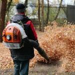 thumbnail of Yard Maintenance is a Lot Easier with a Good Leaf Blower (zubican)
