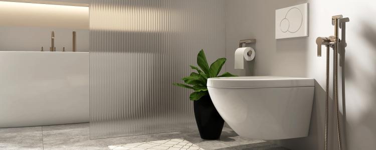 main of A Good Toilet and Bidet Adds Value To Your Home (zubican)